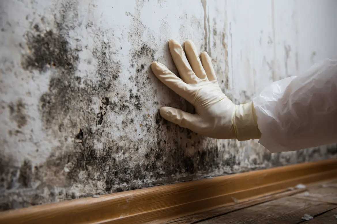 mold prevention 